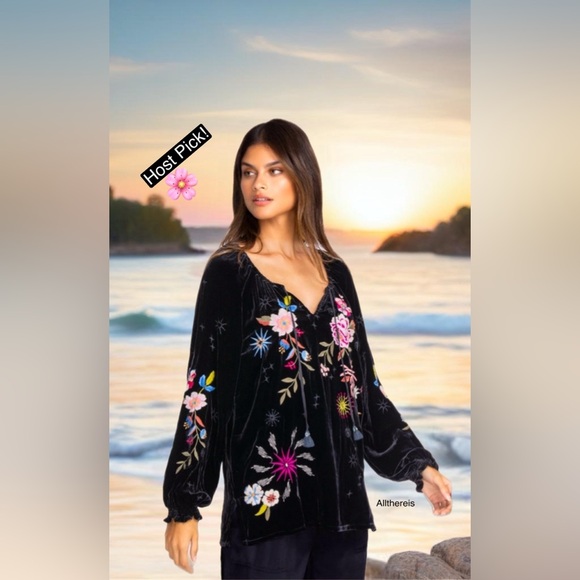 HP๐ JohnnyWas Velvet top  ๐บ๐ธ - Picture 16 of 16